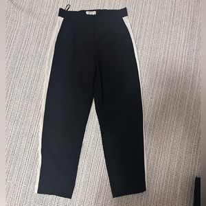 Aritzia Babaton Conan Dress Pant